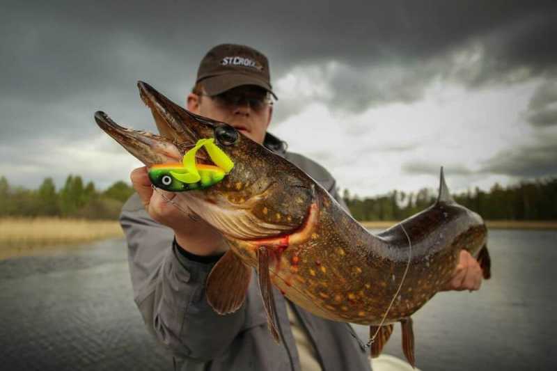jakie przynęty na szczupaka